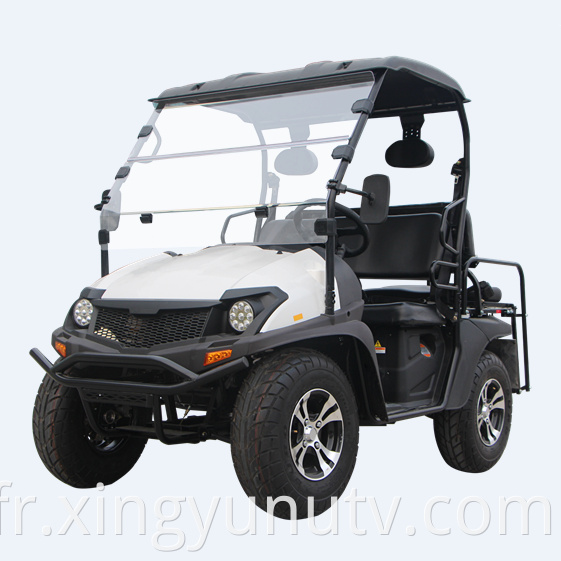 2021 vente chaude de haute qualité 5kw électrique UTV EEC Golf de golf